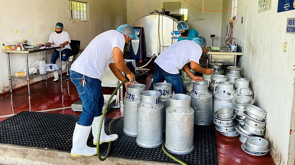 Modelo Red Lechera (PPP Estrella Azul–Tetra Pak) Panamá