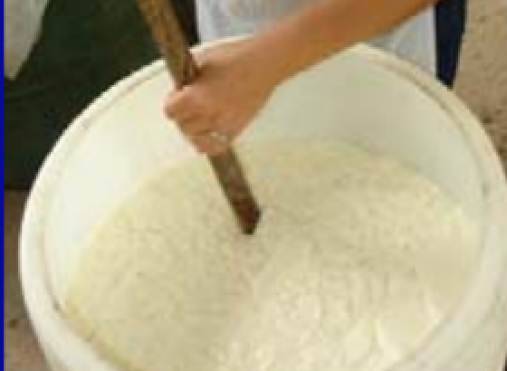 Dairy processing manual (ES)