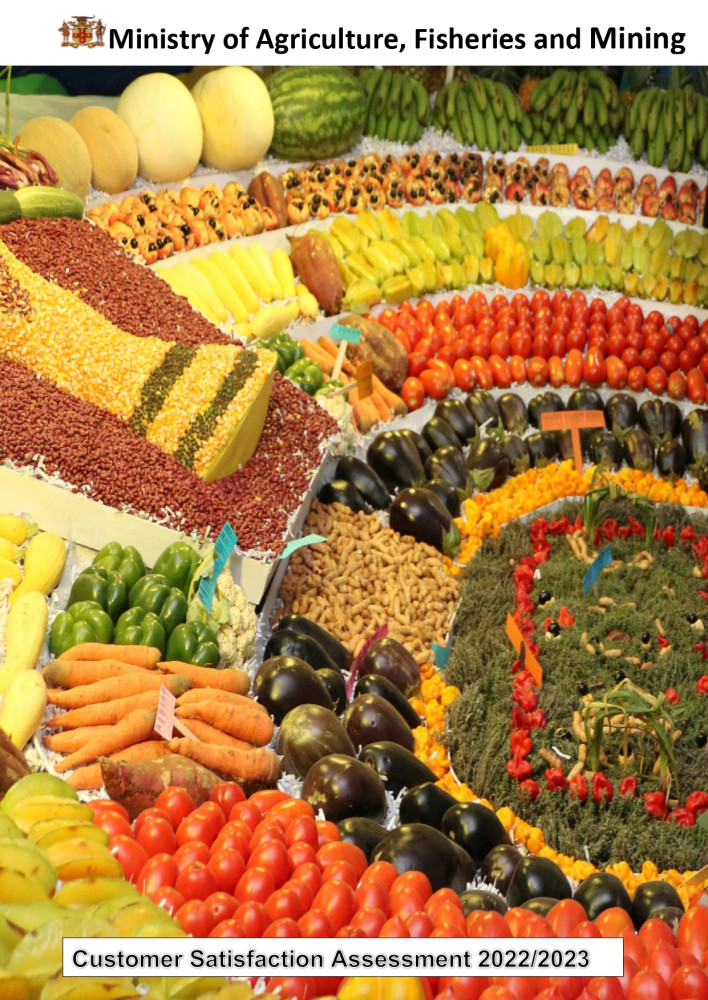 Customer Satisfaction Assessment 2022/23