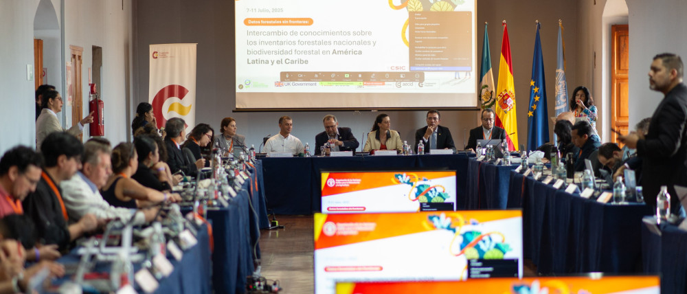 Datos forestales sin fronteras: América Latina y el Caribe refuerzan su compromiso con la transparencia forestal