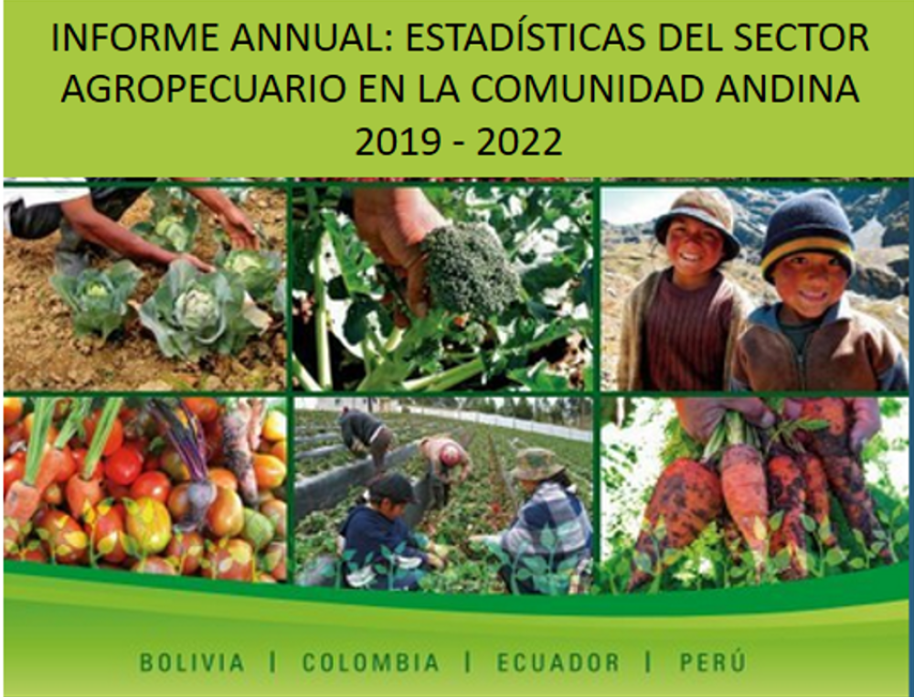 Informe producción SGDE 1008. pdf