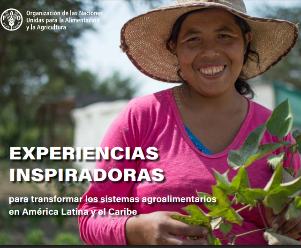 Experiencias inspiradoras para transformar los sistemas agroalimentarios en América Latina y el Caribe