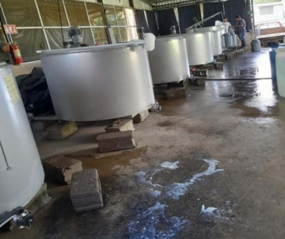 Manuals of good milking and manufacturing practices in dairy (Thesis) (ES)