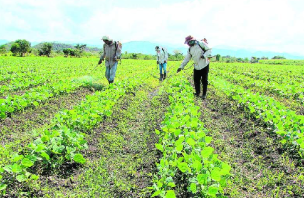 Guatemala: Overview, by the World Bank