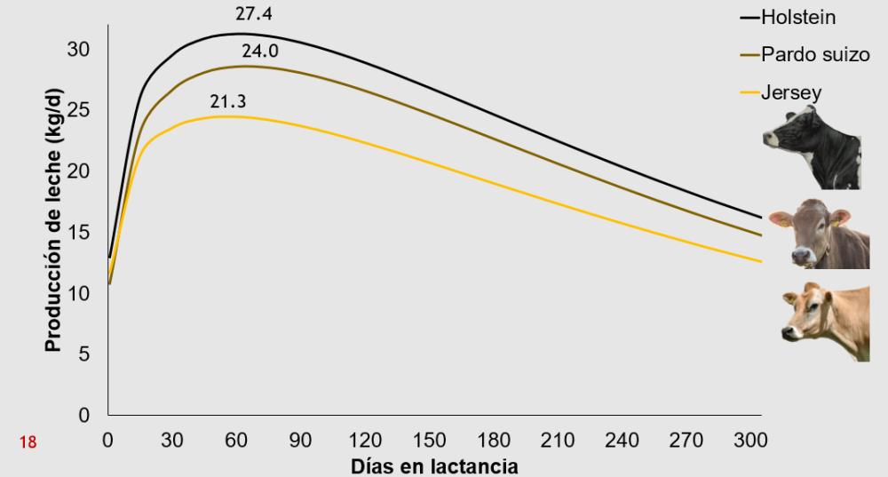 Lactation curves in El Salvador (Conference presentation)