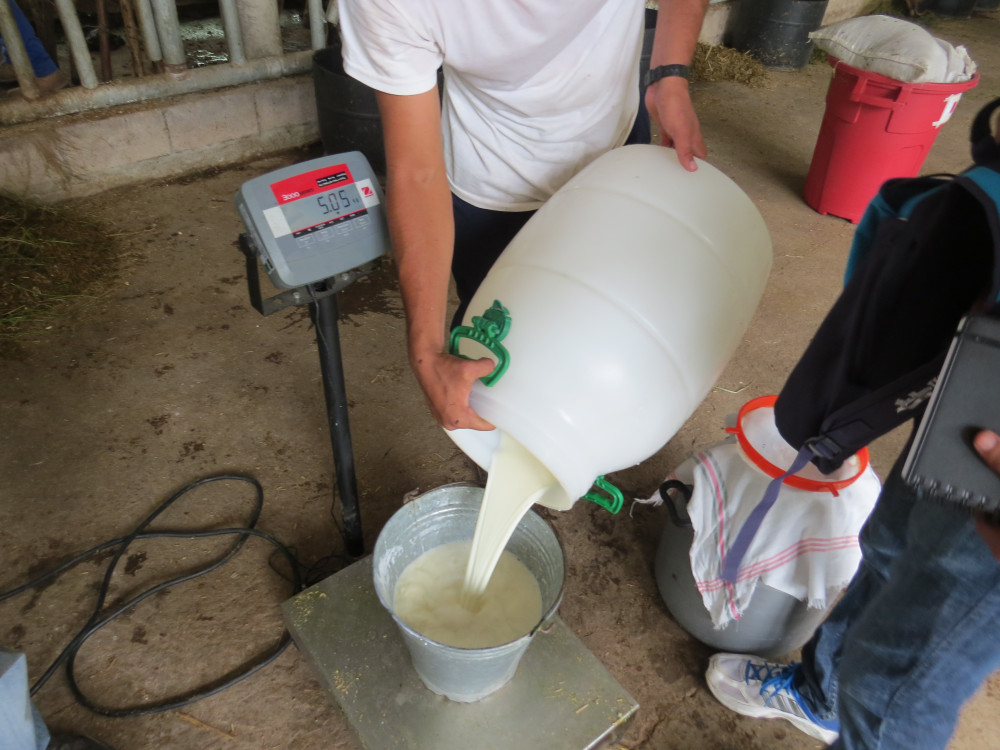 Study on competition conditions in the cheese sector in El Salvador (ES)