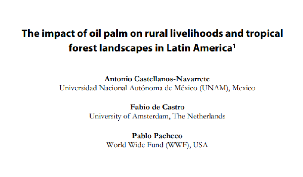 The impact of oil palm on rural livelihoods and tropical forest landscapes in Latin America