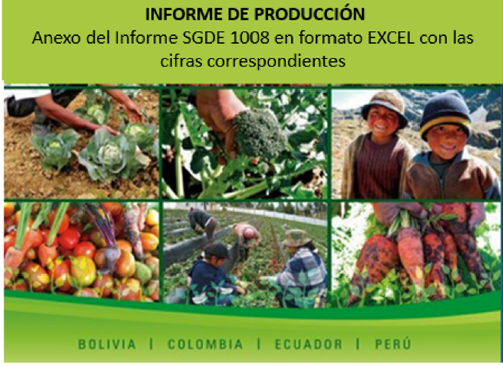 Informe producción SGDE 1008 Anexo