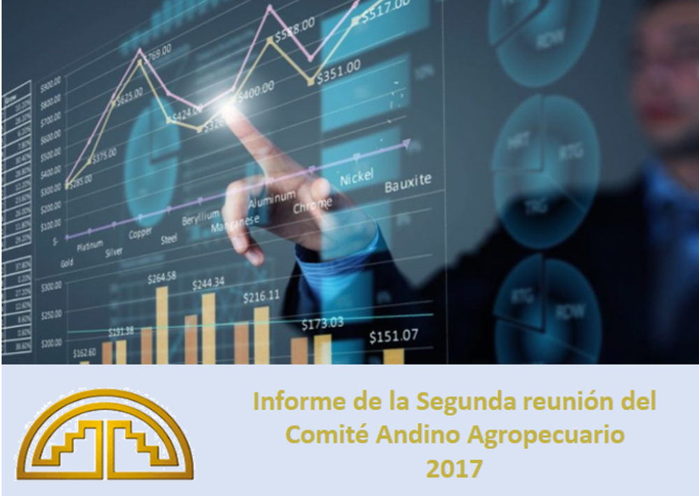 SG E D1 2778 2017_Informe finaniero.pdf