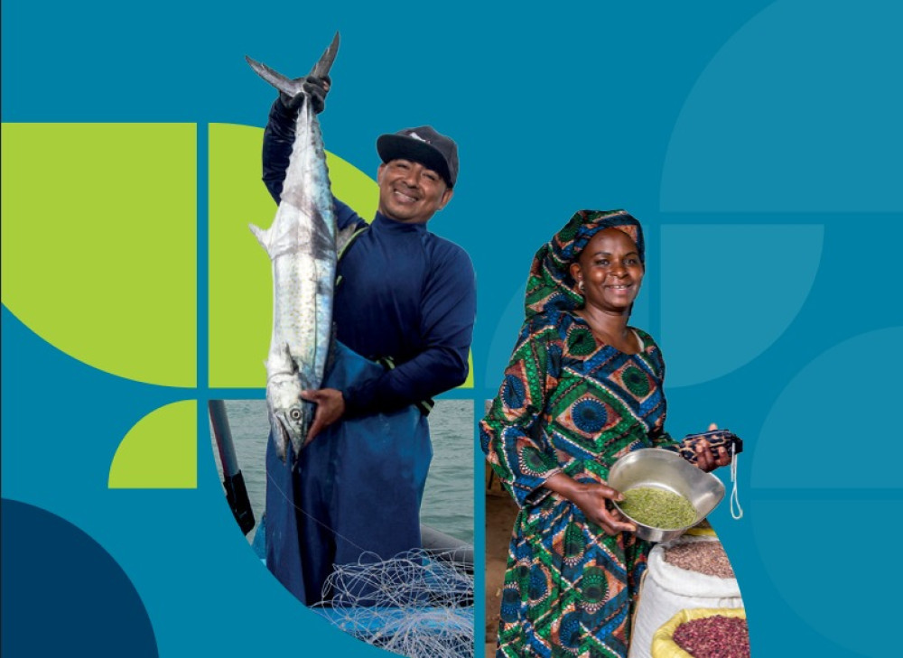 Financing food for a better future: Financing agrifood systems transformation to increase resilience, and prevent and mitigate food crises