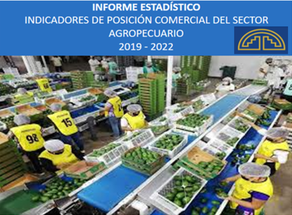 Informe Comercio 2019 - 2022