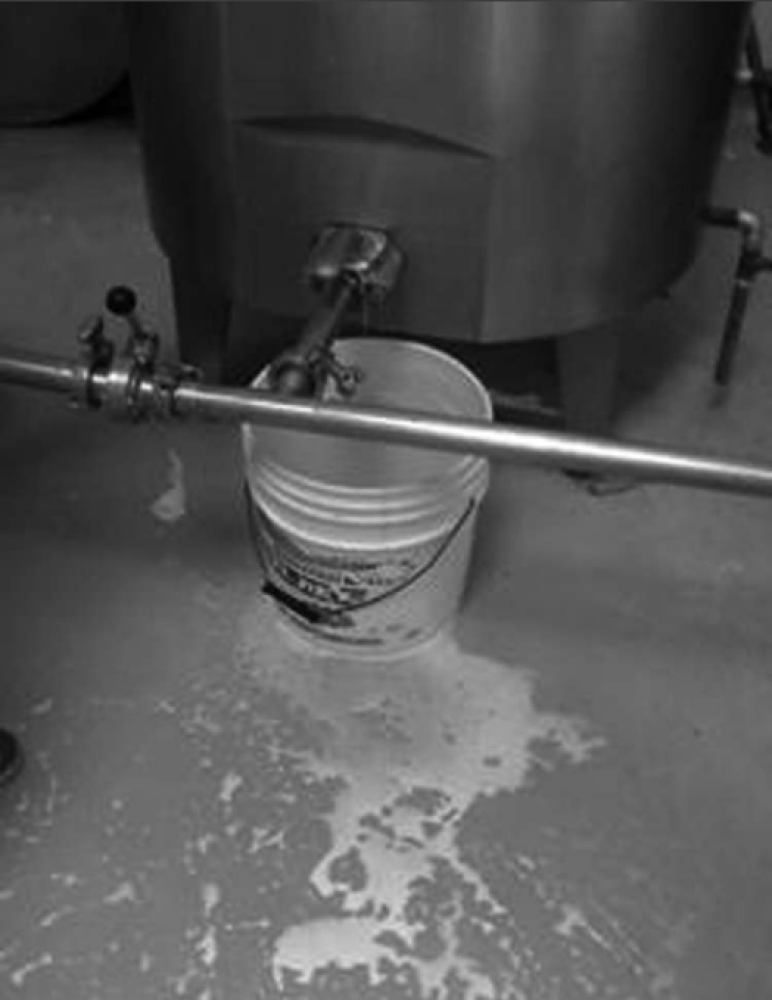 Environmental diagnosis of the El Salvador Dairy Sub-Sector 2008 (ES)