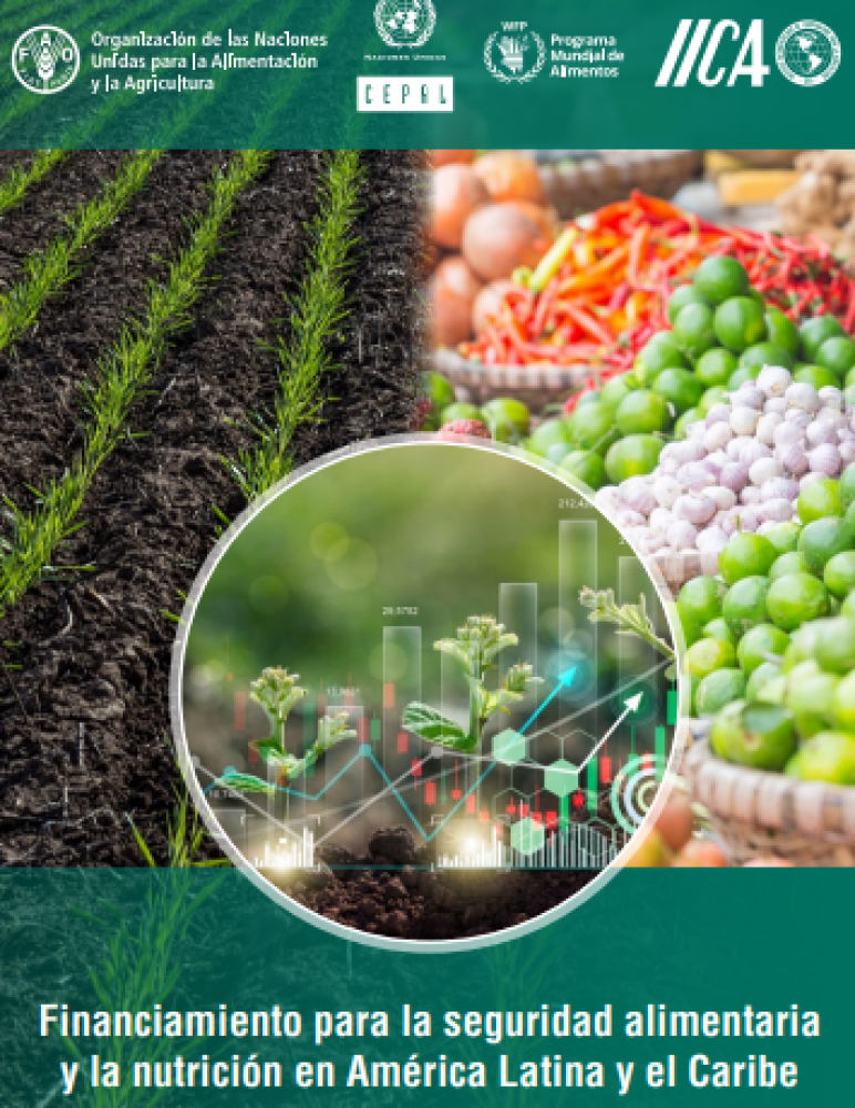 Financiamiento para la seguridad alimentaria y la nutrición en América Latina y el Caribe