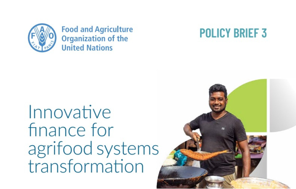 Innovative finance for agrifood systems transformation - Policy Brief 3