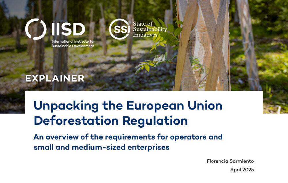 Unpacking the European Union Deforestation Regulation: An overview of the requirements for operators and small and medium-sized enterprises