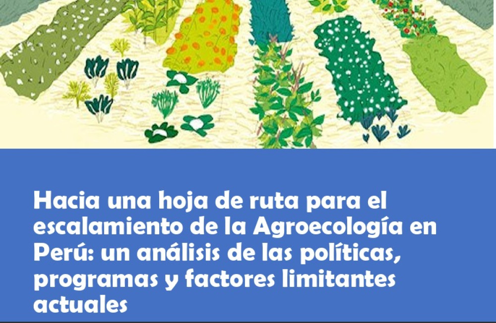 Hoja de ruta para el escalamiento de la Agroecología en Perú: análisis de las políticas, programas y factores limitantes actuales