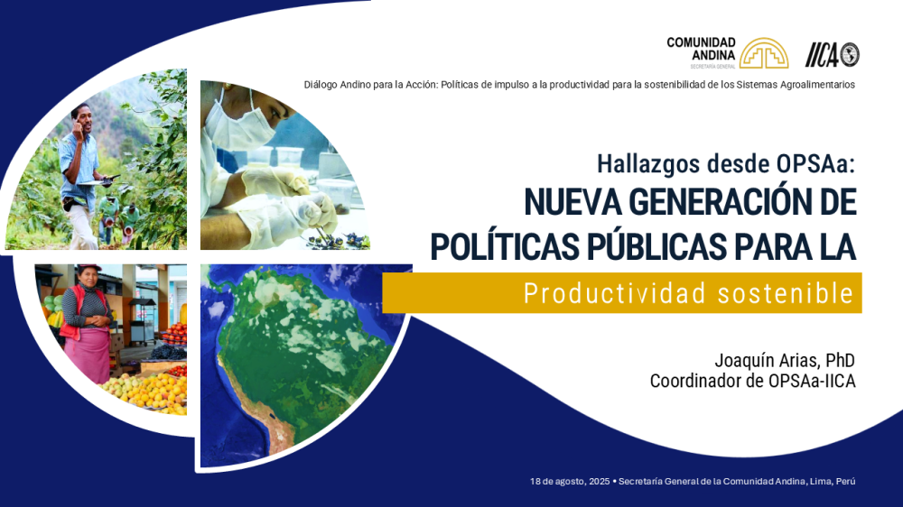 New generation of public policies for sustainable productivity [ES]