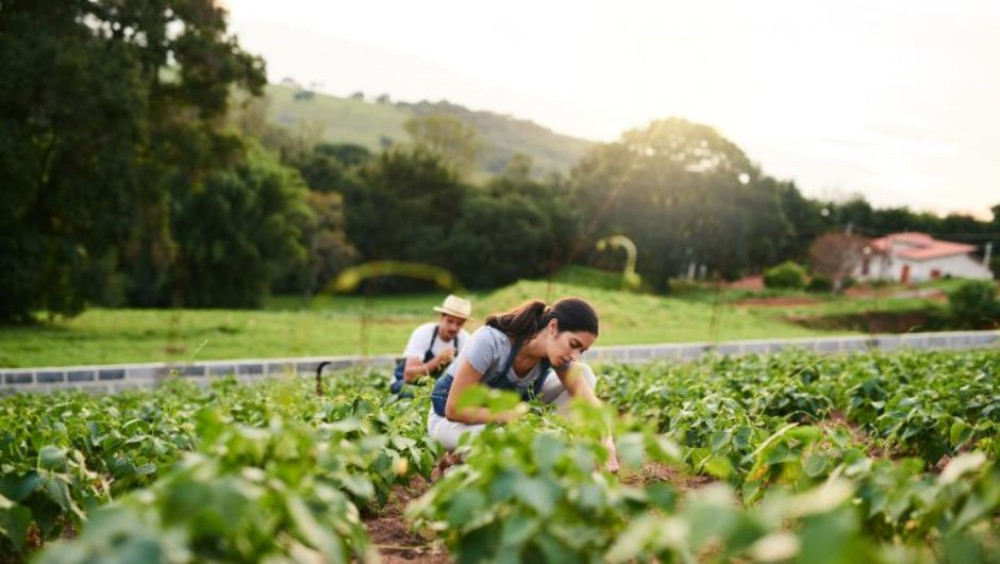 National Policy to Support Rural Youth in Brazil