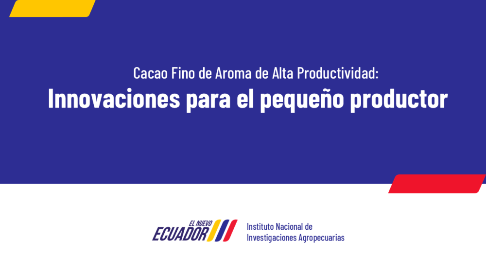 Fine aroma cacao of Ecuadorian INIAP: Innovations for Small Producers