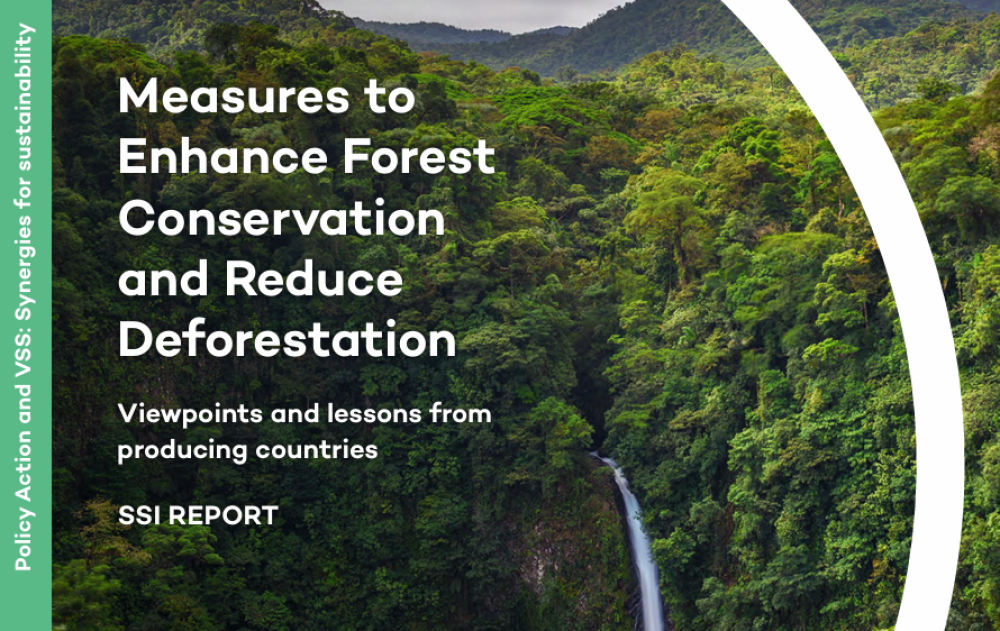 Medidas para Mejorar la Conservación Forestal y Reducir la Deforestación: Perspectivas y lecciones desde países productores