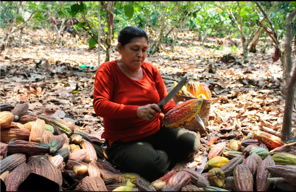 Amazonian women lead the digital transformation of agriculture with support from MIDAGRI and SECO