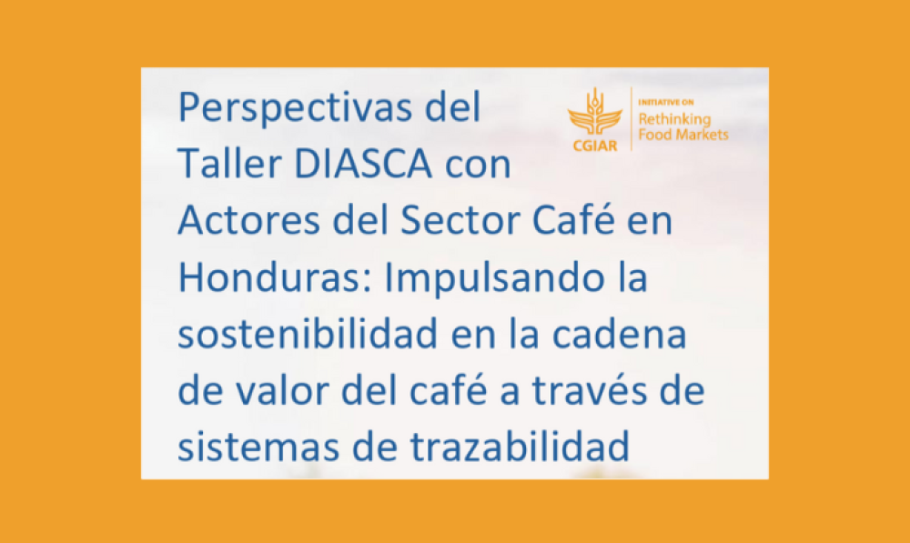 Outlook from the DIASCA workshop with stakeholders in the coffee sector in Honduras: Promoting sustainability in the coffee value chain through traceability systems
