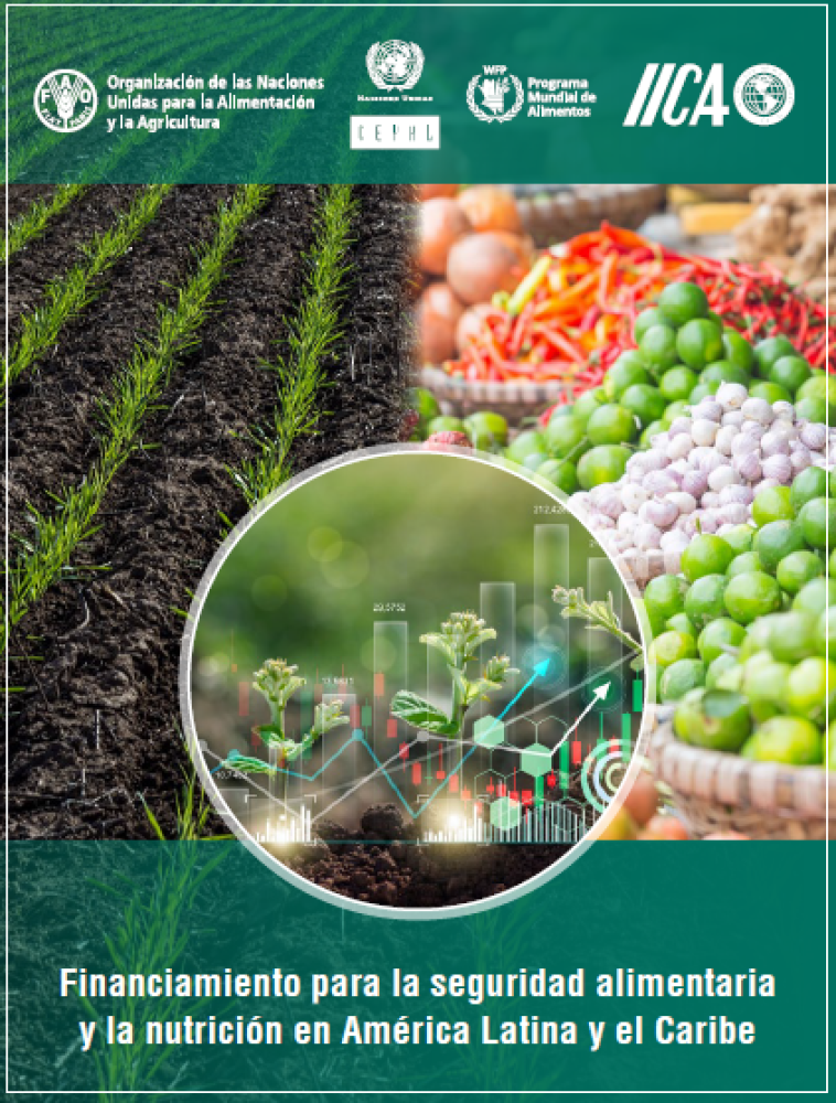 Financiamiento para la seguridad alimentaria y la nutrición en América Latina y el Caribe