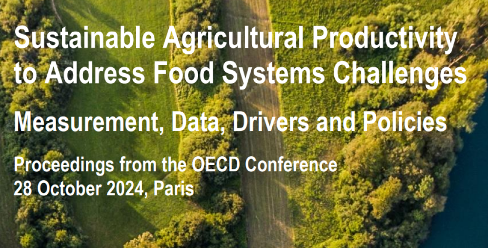 Sustainable Agricultural Productivity to Address Food Systems Challenges