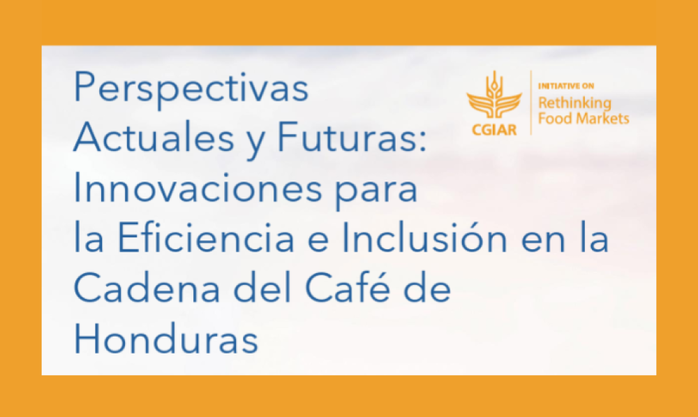 Perspectivas Actuales y Futuras: Innovaciones para la Eficiencia e Inclusión en la Cadena del Café de Honduras