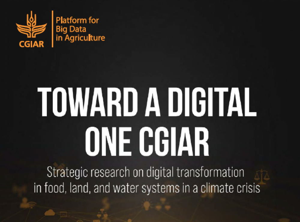 Toward a Digital One CGIAR: Strategic research on digital transformation in food, land, and water systems in a climate crisis