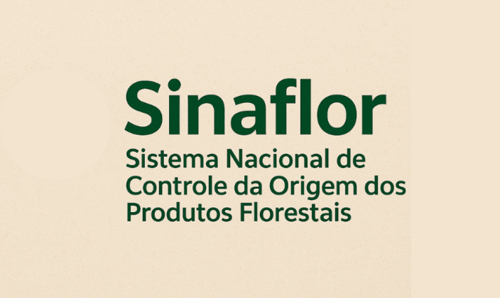 El Sistema Nacional de Control del Origen de los Productos Forestales (Sinaflor)