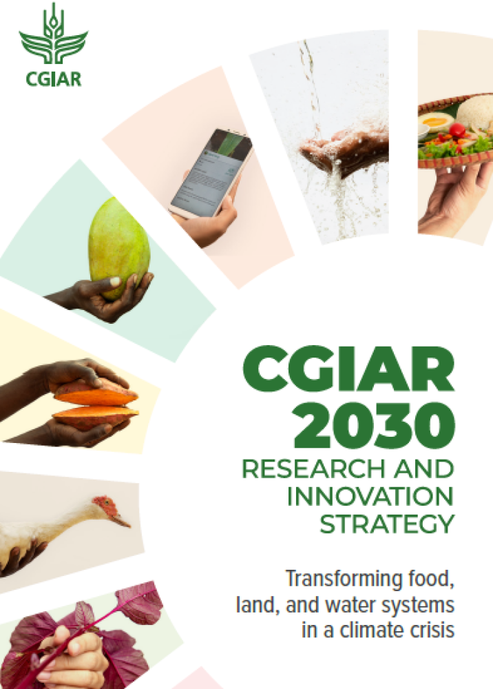 CGIAR 2030 RESEARCH AND INNOVATION STRATEGY