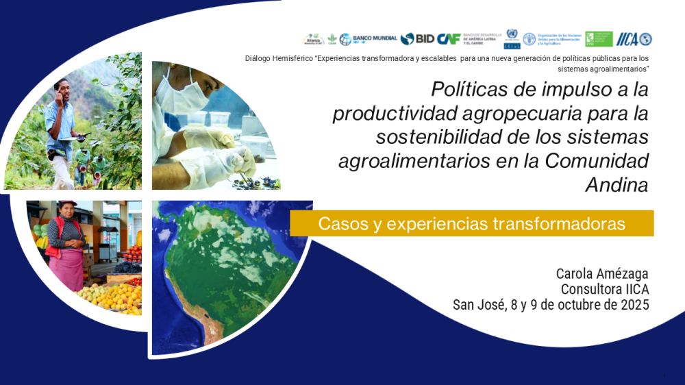 Policies to promote agricultural productivity for the sustainability of agri-food systems in the Andean Community [ES]