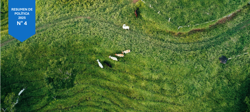 Sustainable Transformation of the Dairy Chain in SICA Countries [ES]