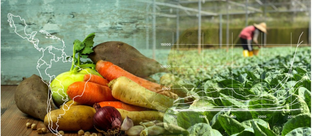 Latin American Food Law Framework