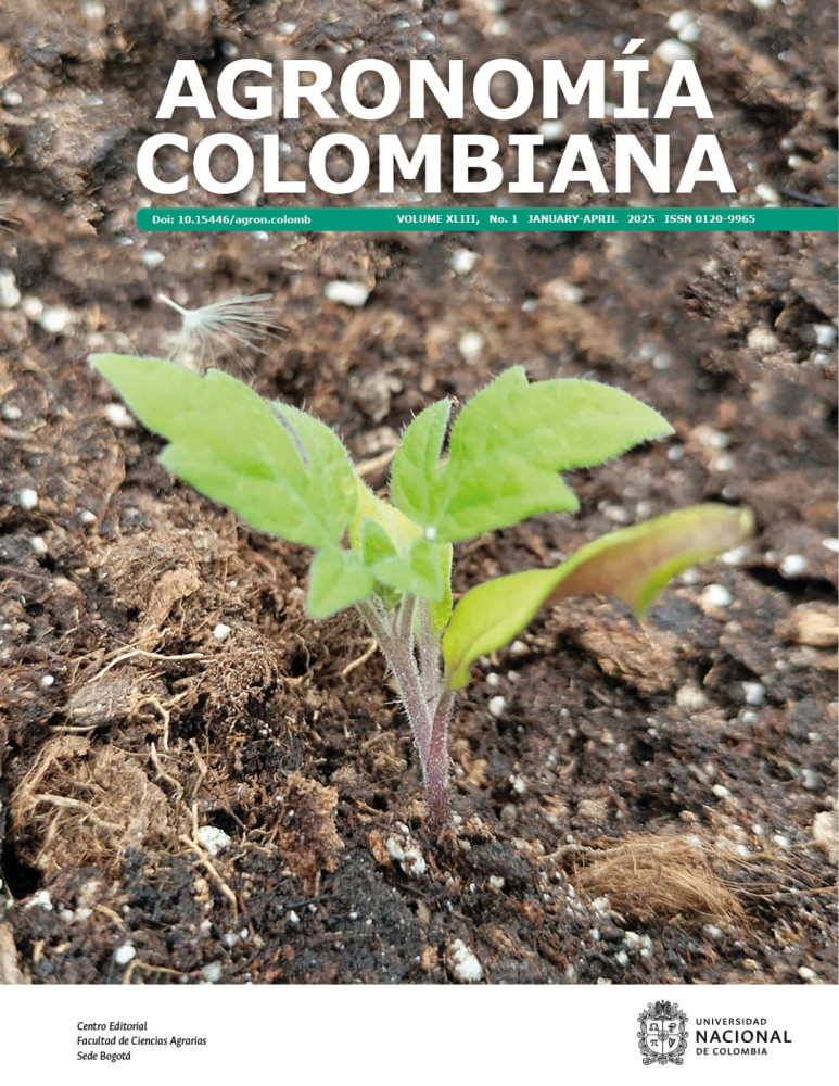 Challenges and strategies to promote the industrialization of cassava crop in Colombia