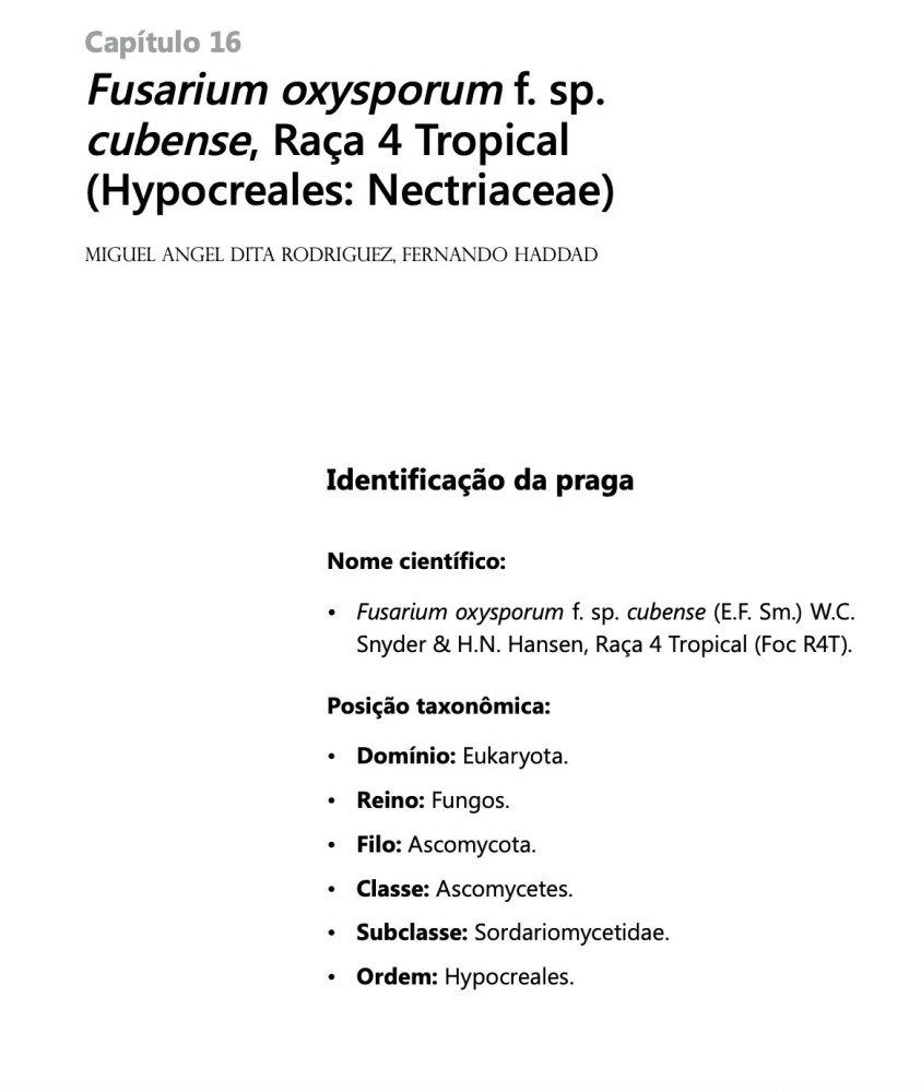 Documento técnico “Fusarium oxysporum f.sp. cubense Raza 4 Tropical (Foc R4T)” – Libro de Plagas Priorizadas Cuarentenarias Ausentes en Brasil