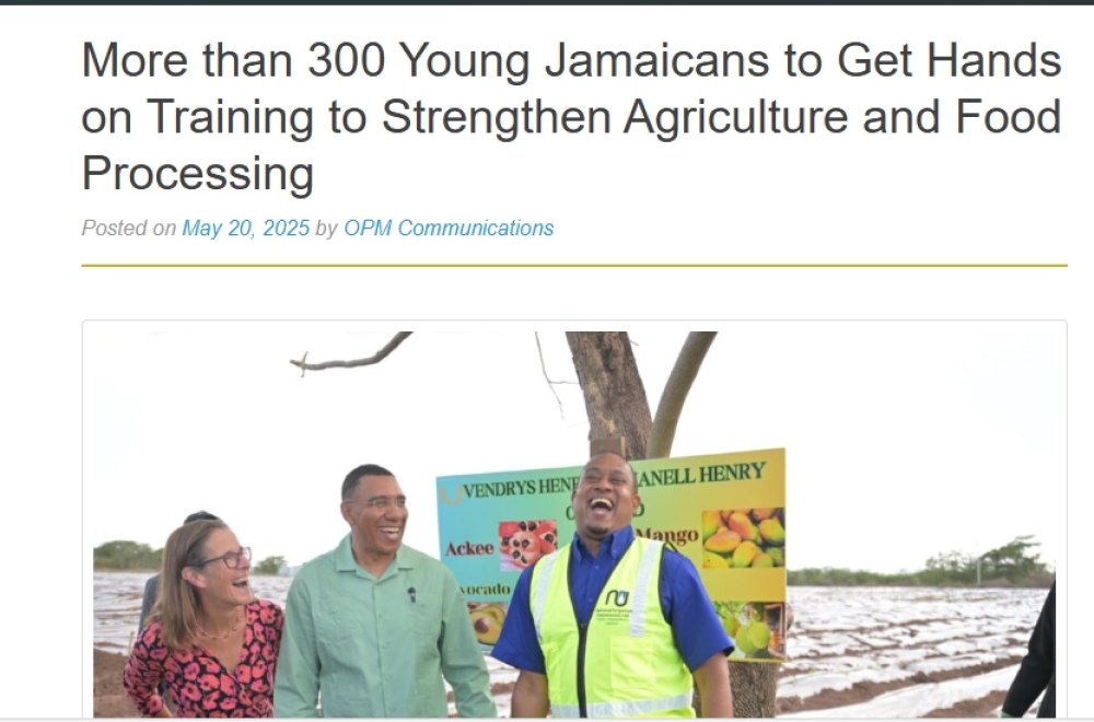 Más de 300 jóvenes jamaiquinos recibirán capacitación práctica para fortalecer la agricultura y el procesamiento de alimentos