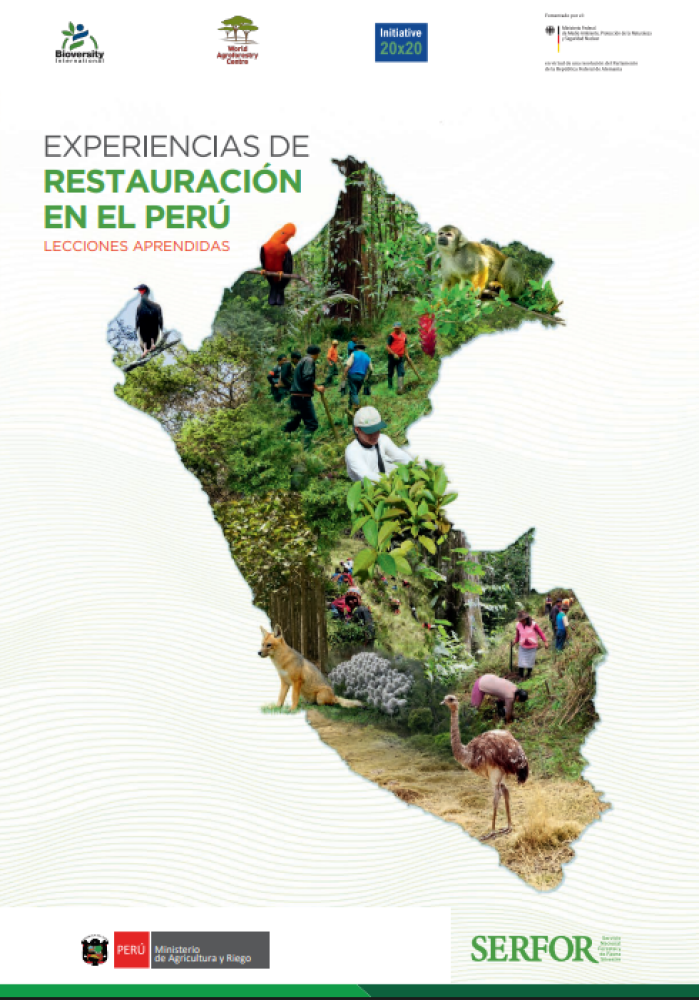 Experiencias de Restauración en el Perú: Lecciones Aprendidas