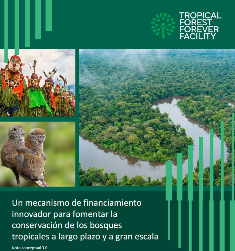 Tropical Forest Forever Facility: Nota conceptual 3.0