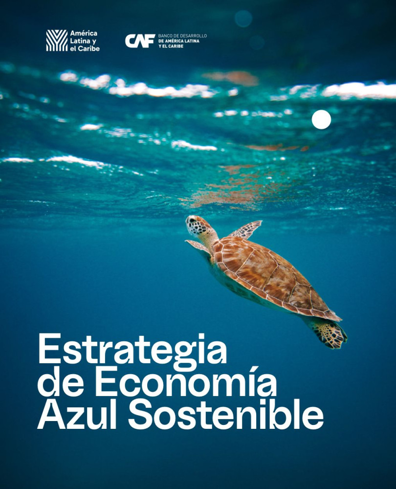 Sustainable Blue Economy Strategy