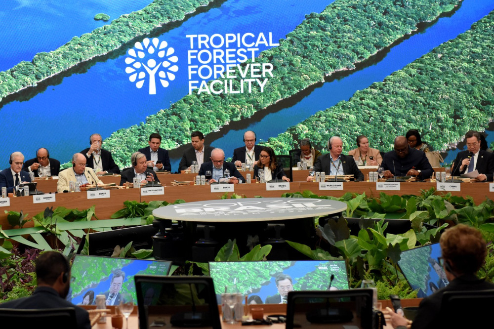 Over USD 5.5 billion Announced for Tropical Forest Forever Facility as 53 Countries Endorse Historic Launch Declaration