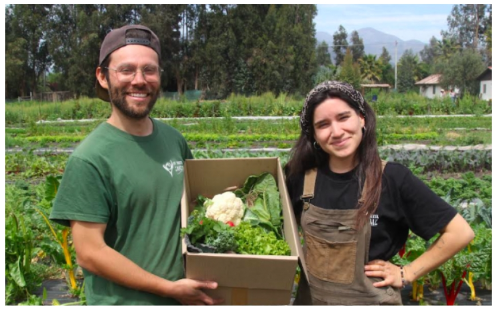 INDAP impulsa acceso a tierras y emprendimiento para juventudes rurales con el programa “Tierra Joven”
