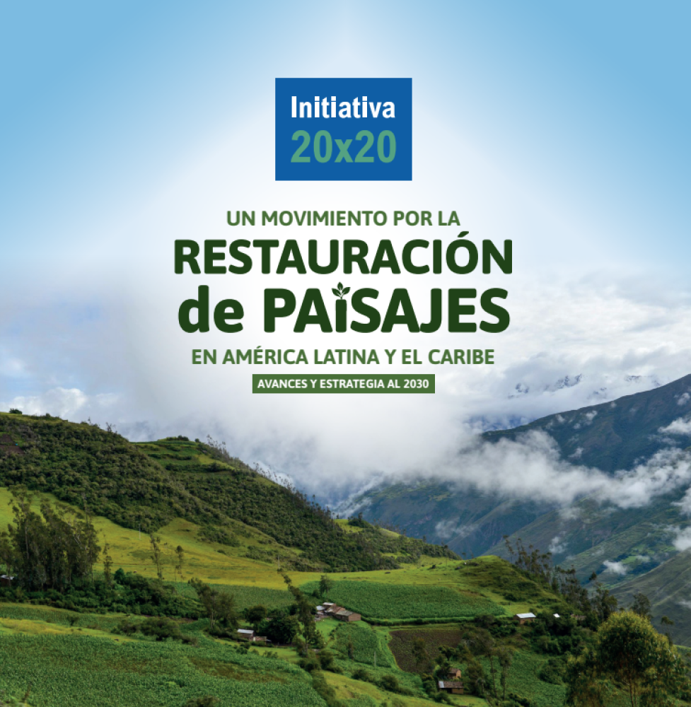 Iniciativa 20x20: Avances y Estrategia al 2030