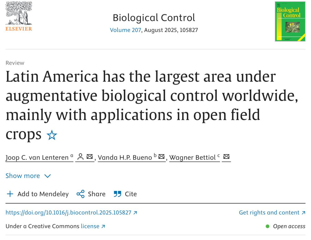 Latin America has the largest area under augmentative biological control worldwide, mainly with applications in open field crops