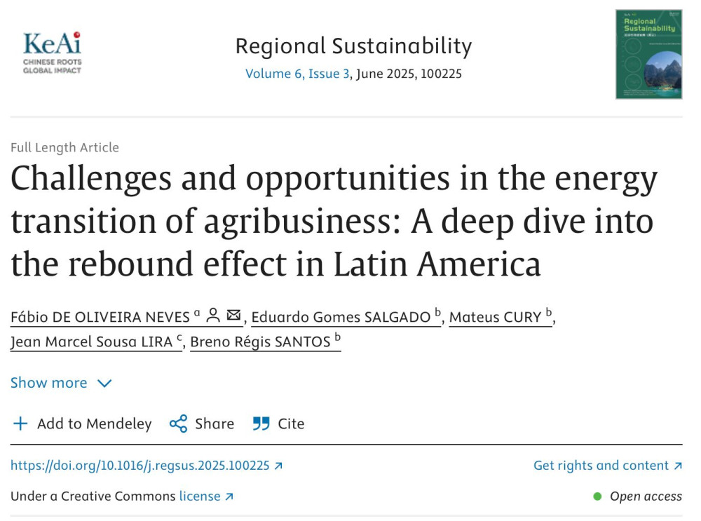 Challenges and opportunities in the energy transition of agribusiness: A deep dive into the rebound effect in Latin America