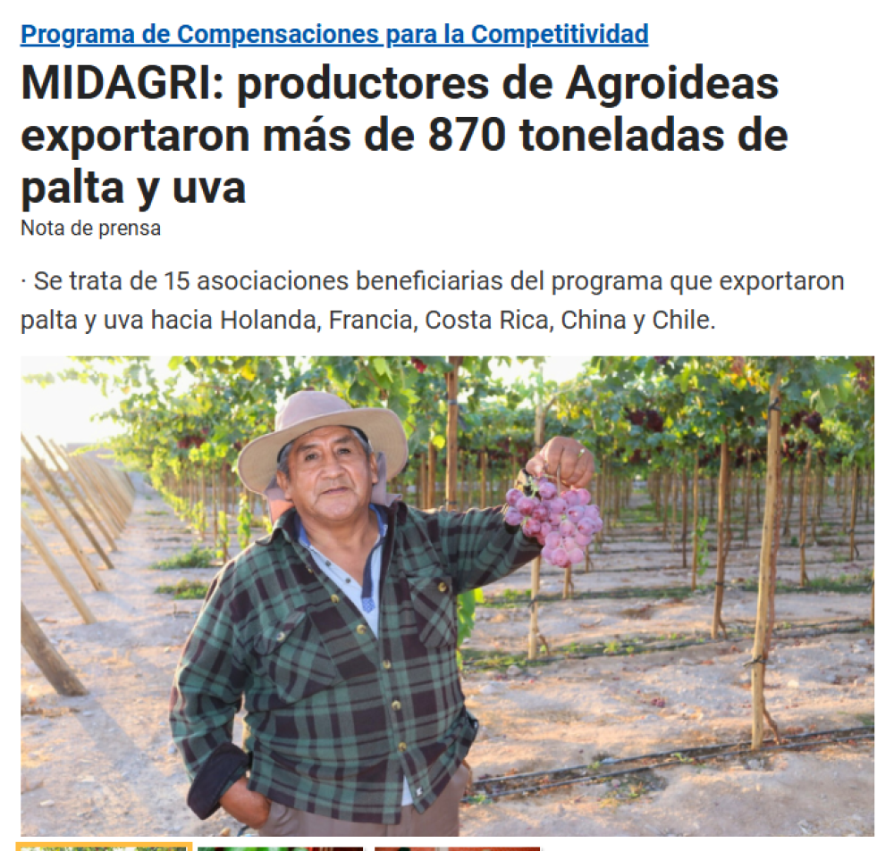 MIDAGRI: productores de Agroideas exportaron más de 870 toneladas de palta y uva