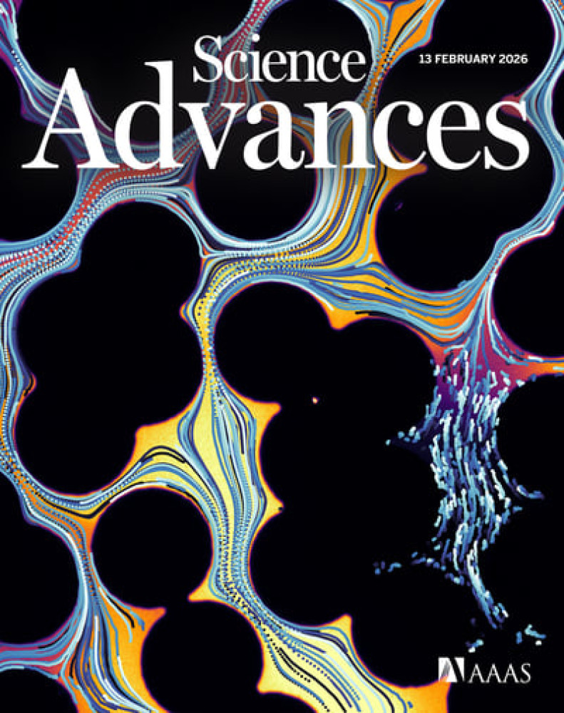 Unpacking the growth of global agricultural greenhouse gas emissions