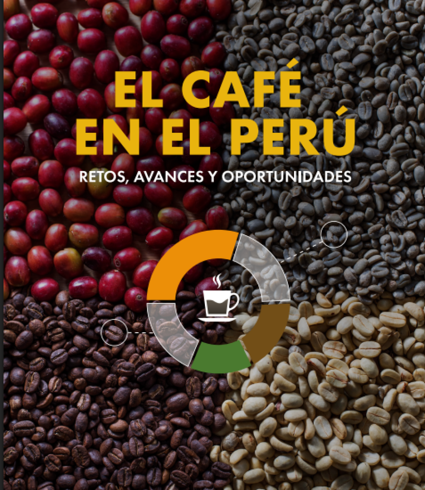 Coffee in Peru: challenges, developments, and opportunities