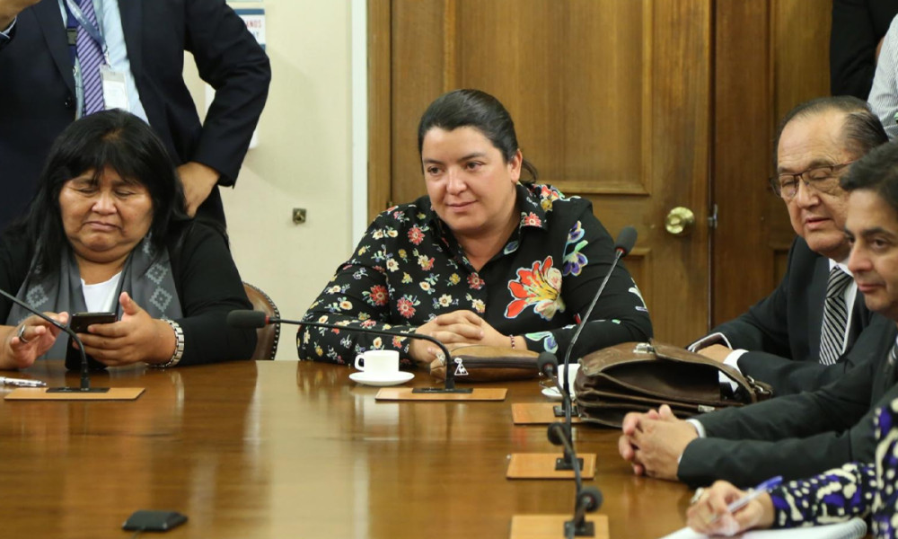 Eventual alza en precio de insumos agricolas requeriría apoyo del Gobierno